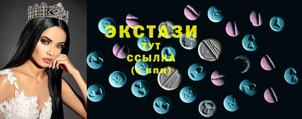 мет Алексин
