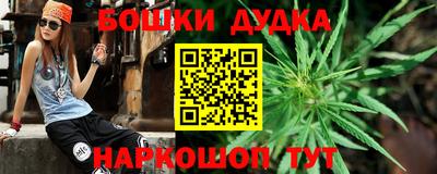 гидра Новокубанск