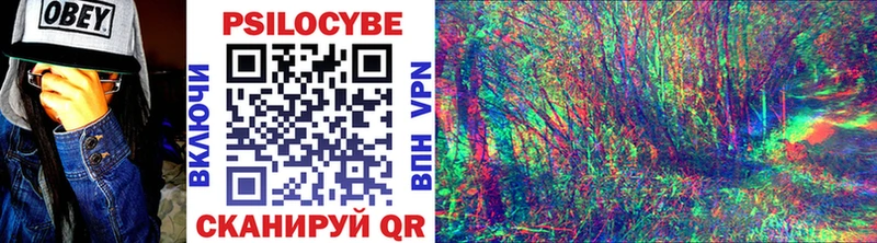 Псилоцибиновые грибы Psilocybine cubensis  Якутск 