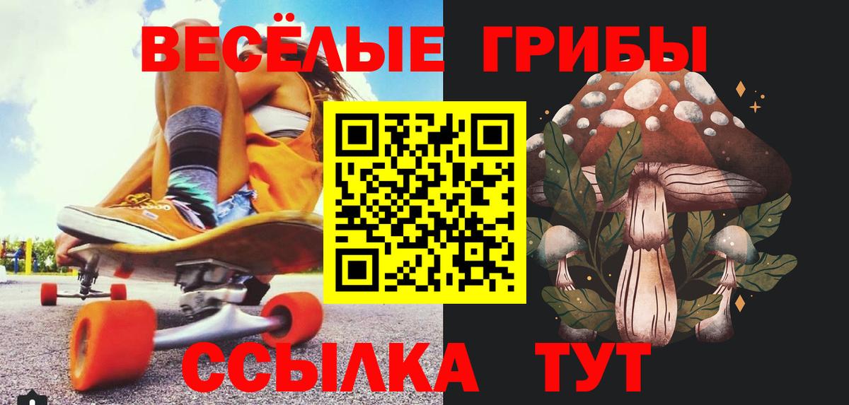Псилоцибиновые грибы Cubensis Якутск